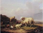 Sheep 172